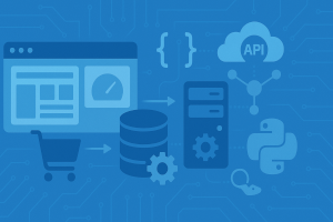 Desarrollo Web & ERP